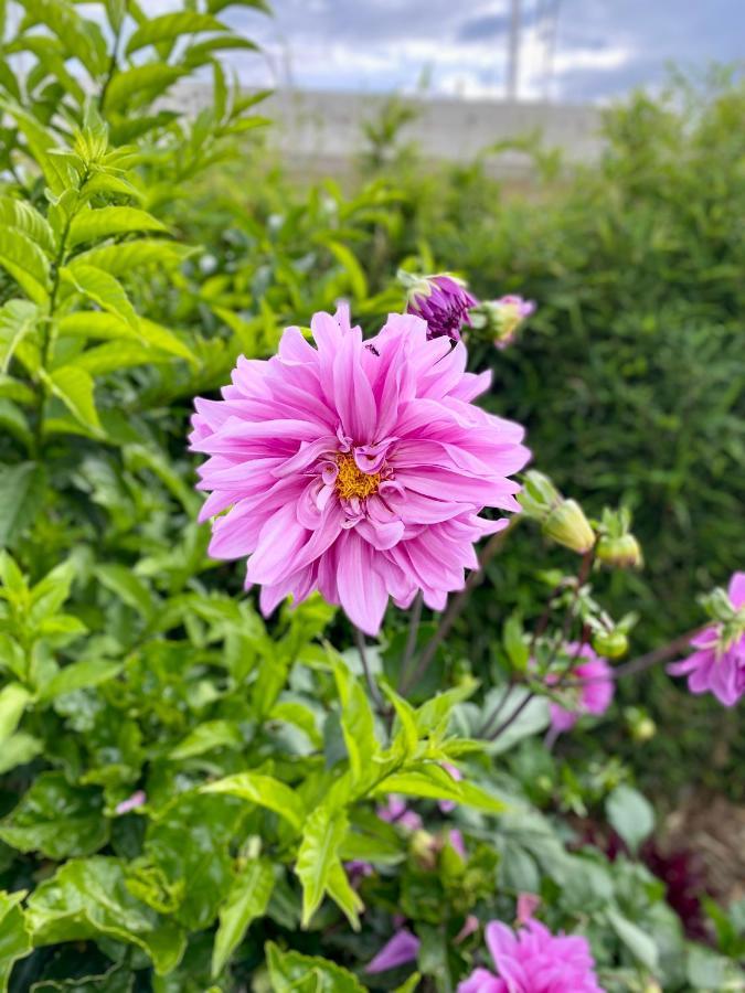 Hospedaje El Girasol Tababela Кито Екстериор снимка