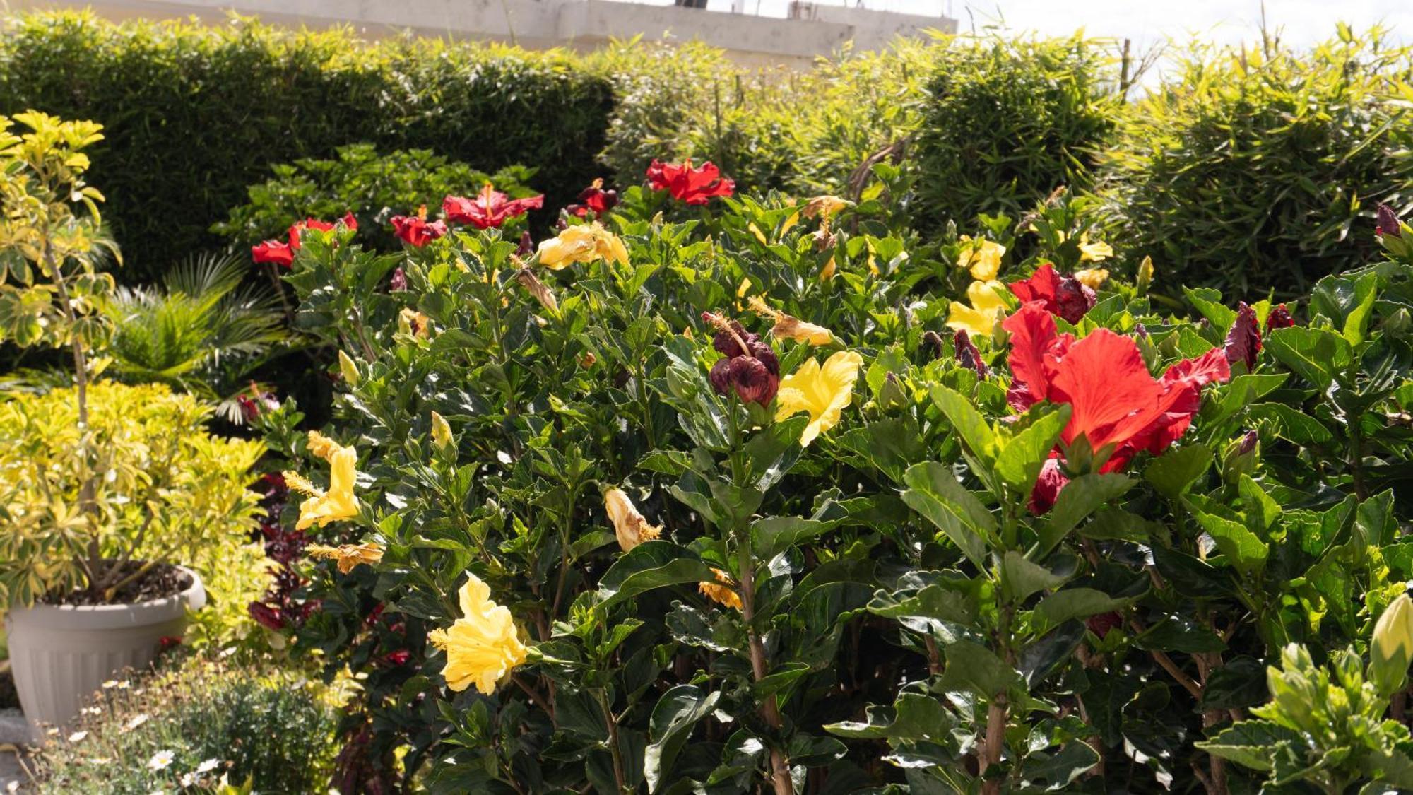 Hospedaje El Girasol Tababela Кито Екстериор снимка